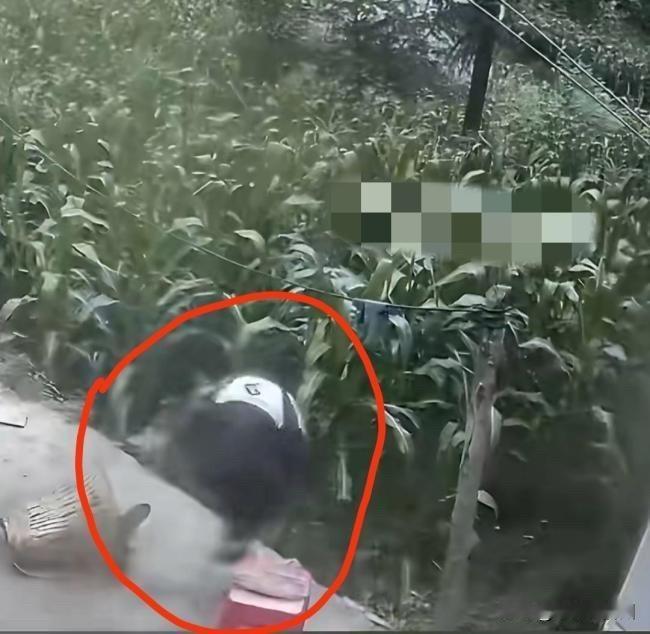 云南离家出走6天的男孩被找到了，
人倒是没事，
不过他躲的地方，
让人挺意外的…