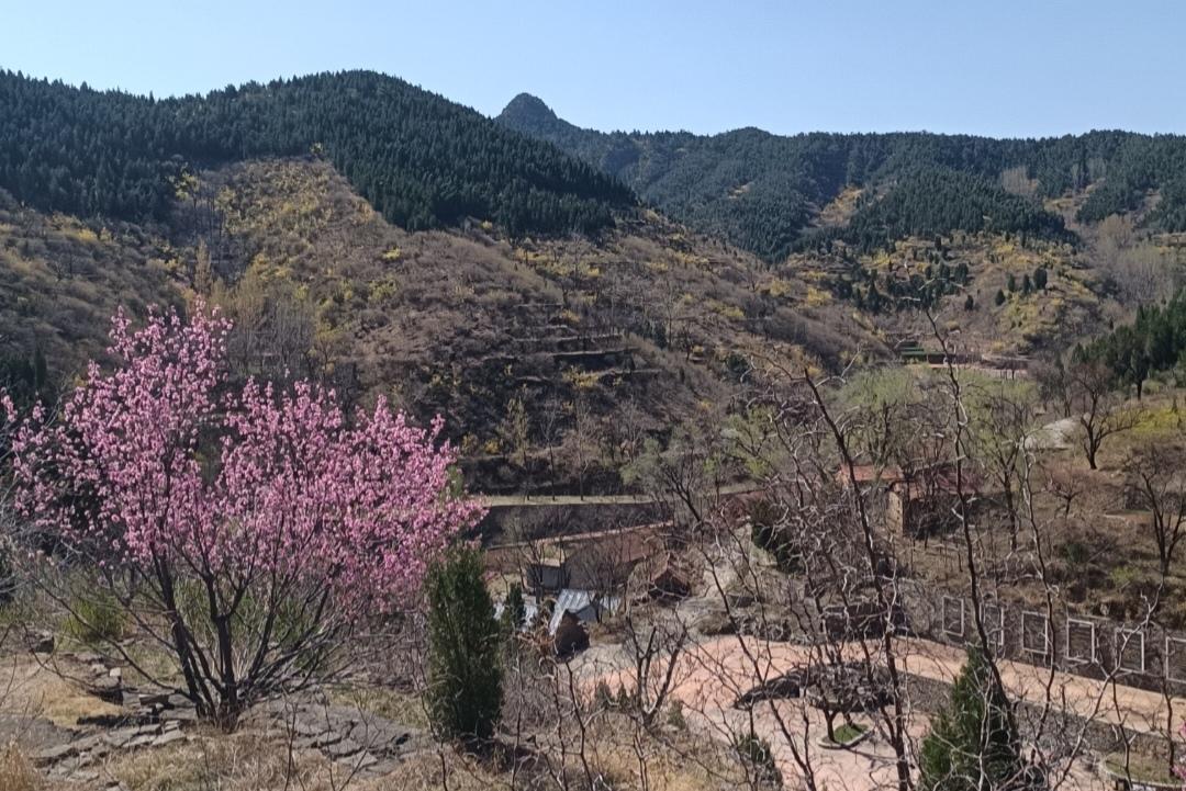 别把春日打卡搞成朋友圈的苦差事。买杯网红咖啡举着拍半天，这种“完成任务式”的春天