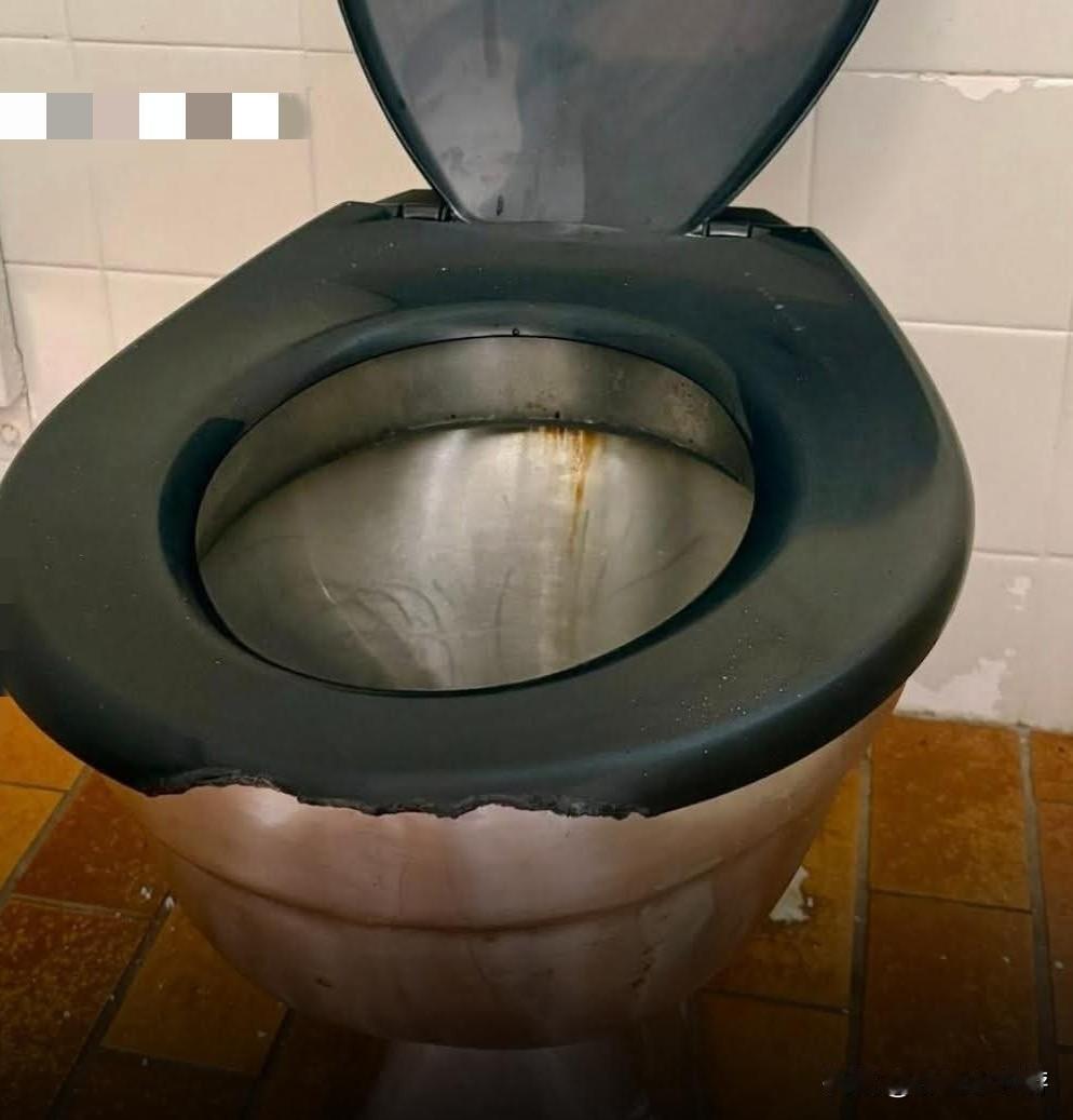 2025年12月，澳大利亚德文特谷市市长米歇尔·德拉库利斯（Michelle D