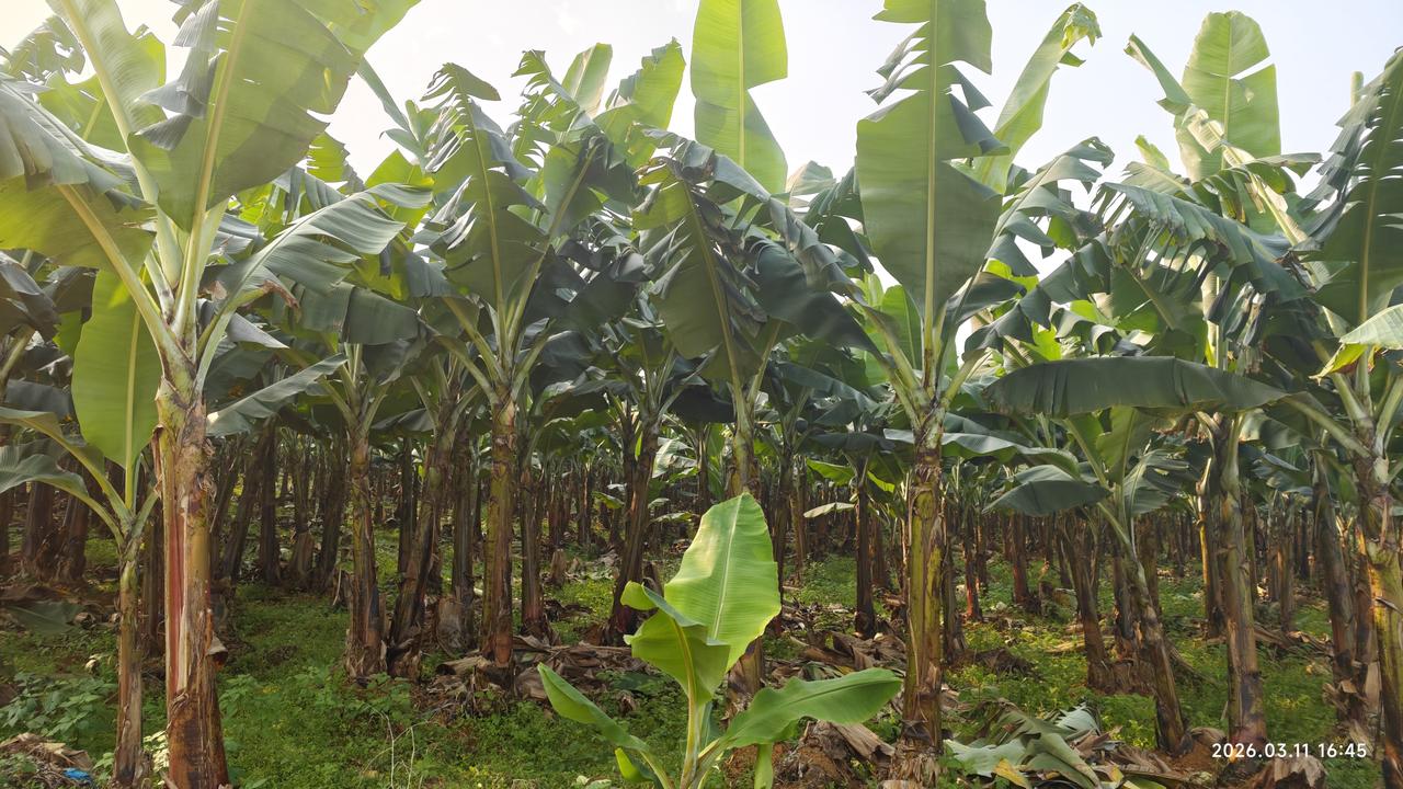 【环国行摄】第三阶段西部篇D27天总第82天：水口镇—旧州。
1.路线：水口镇—