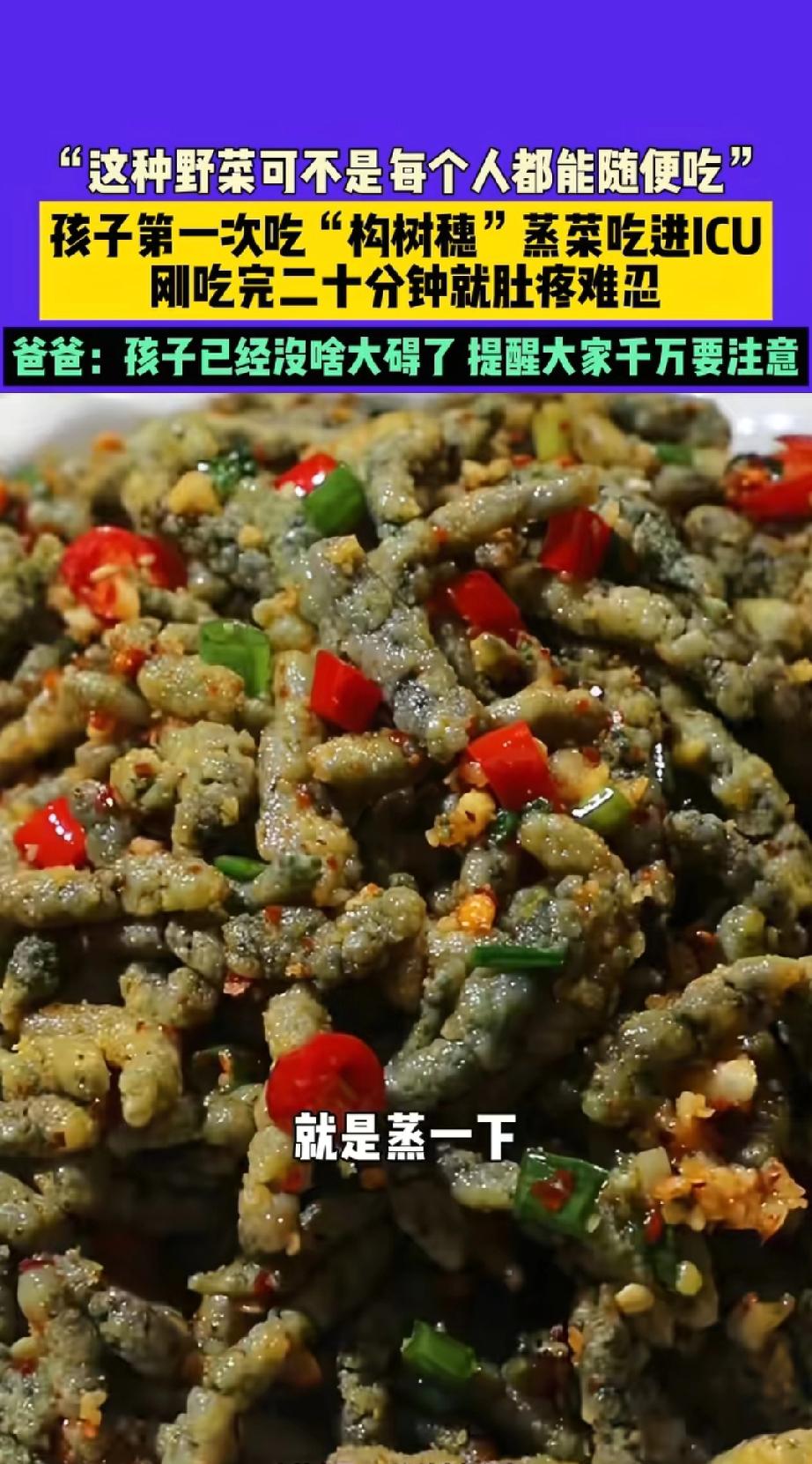 最近刷到个视频，把我吓一跳！就是那种叫“构树穗”的野菜，你听过没？
 
有个小孩