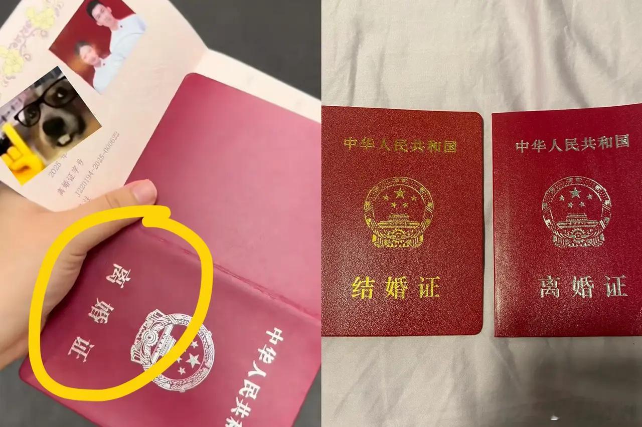 结婚证离婚证一个烫金一个烫银我记得原来结婚证离婚证分别是不同的颜色（红+绿），这
