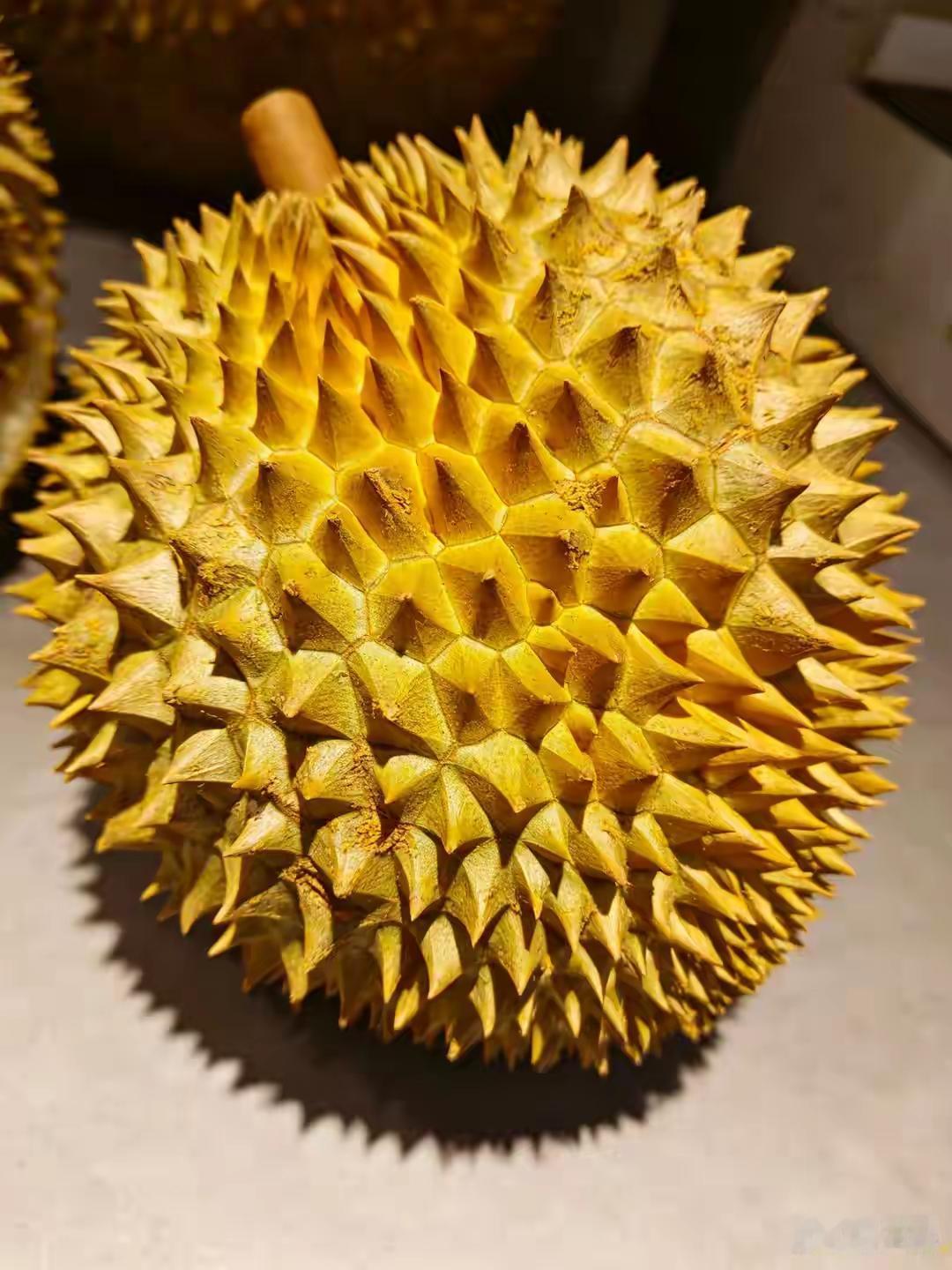 完整榜单
2万吨泰国榴莲来了 价格大降超三成

每到榴莲季，总有一波“榴莲控”按