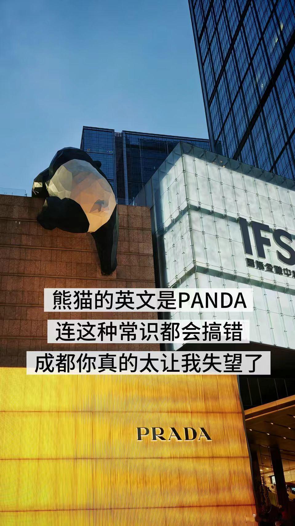 确实成都真多人把熊猫英文搞错了
