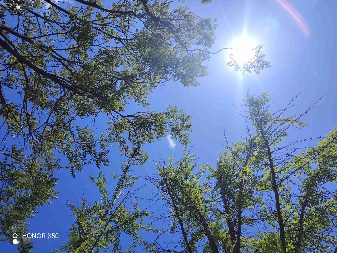 我的今日状态：🏝️旅行度假
我这里的天气：☀️晴天