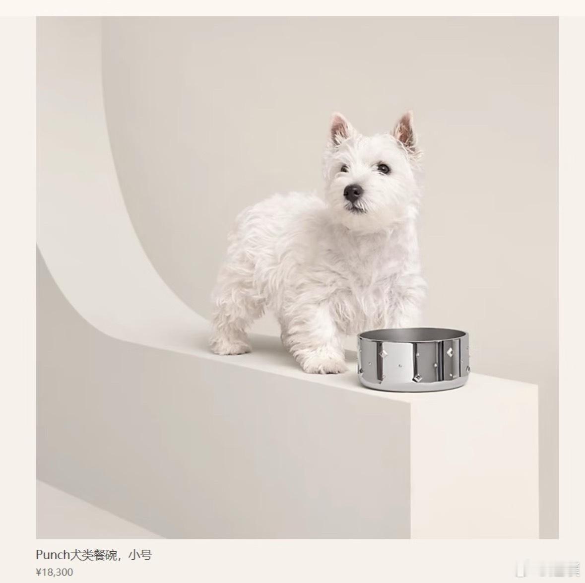 爱马仕2万元狗碗大号已无货 用这个碗也是狗生赢家了