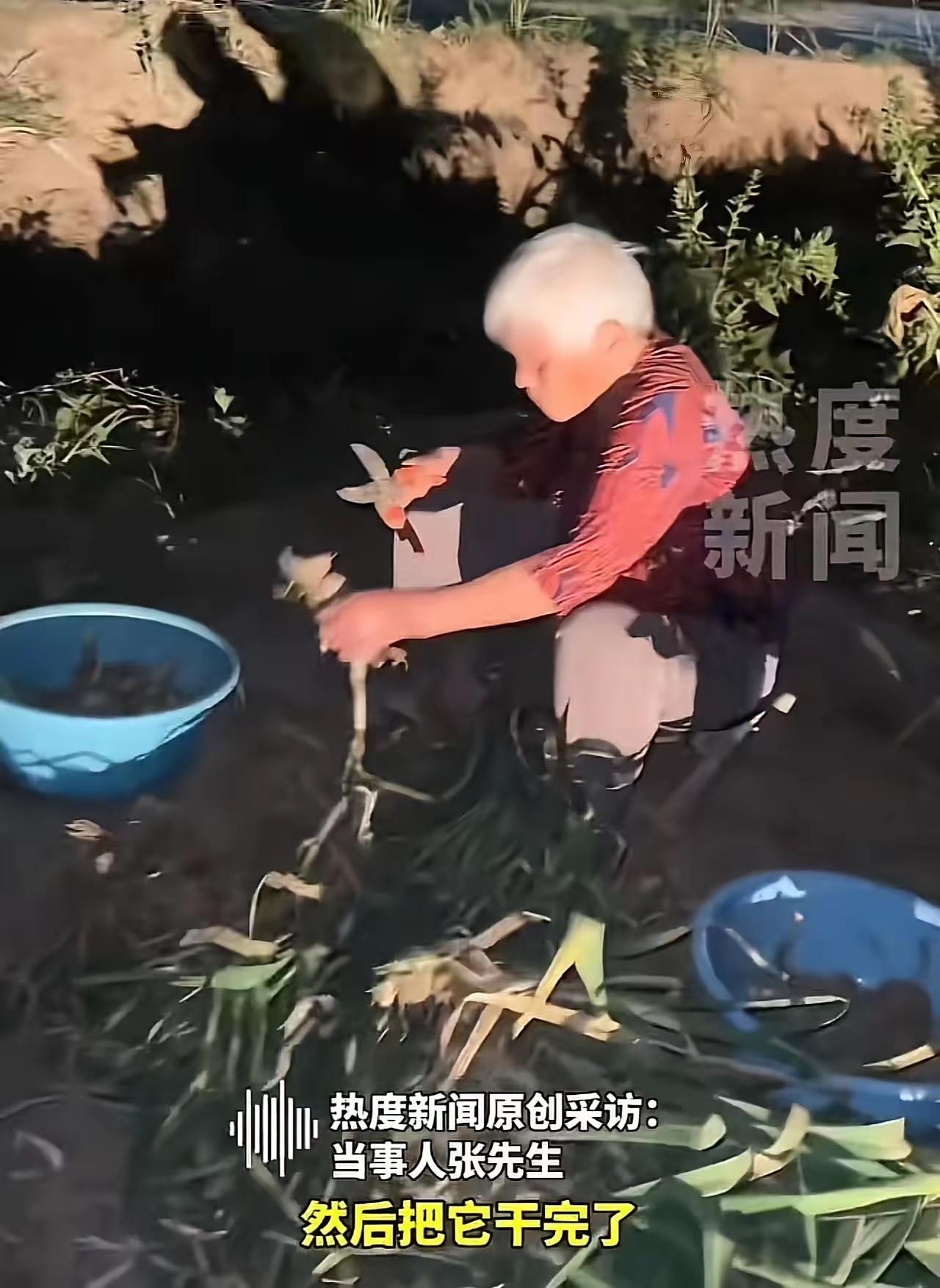 妻子临终托孤，他坚守承诺七八年，这才是最动人的人间真情

看哭了！山东菏泽，妻子