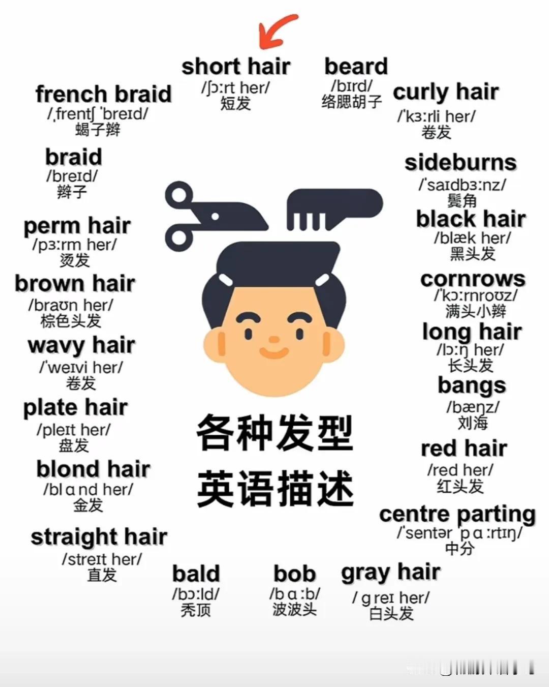 跟“发型”有关的英语词汇