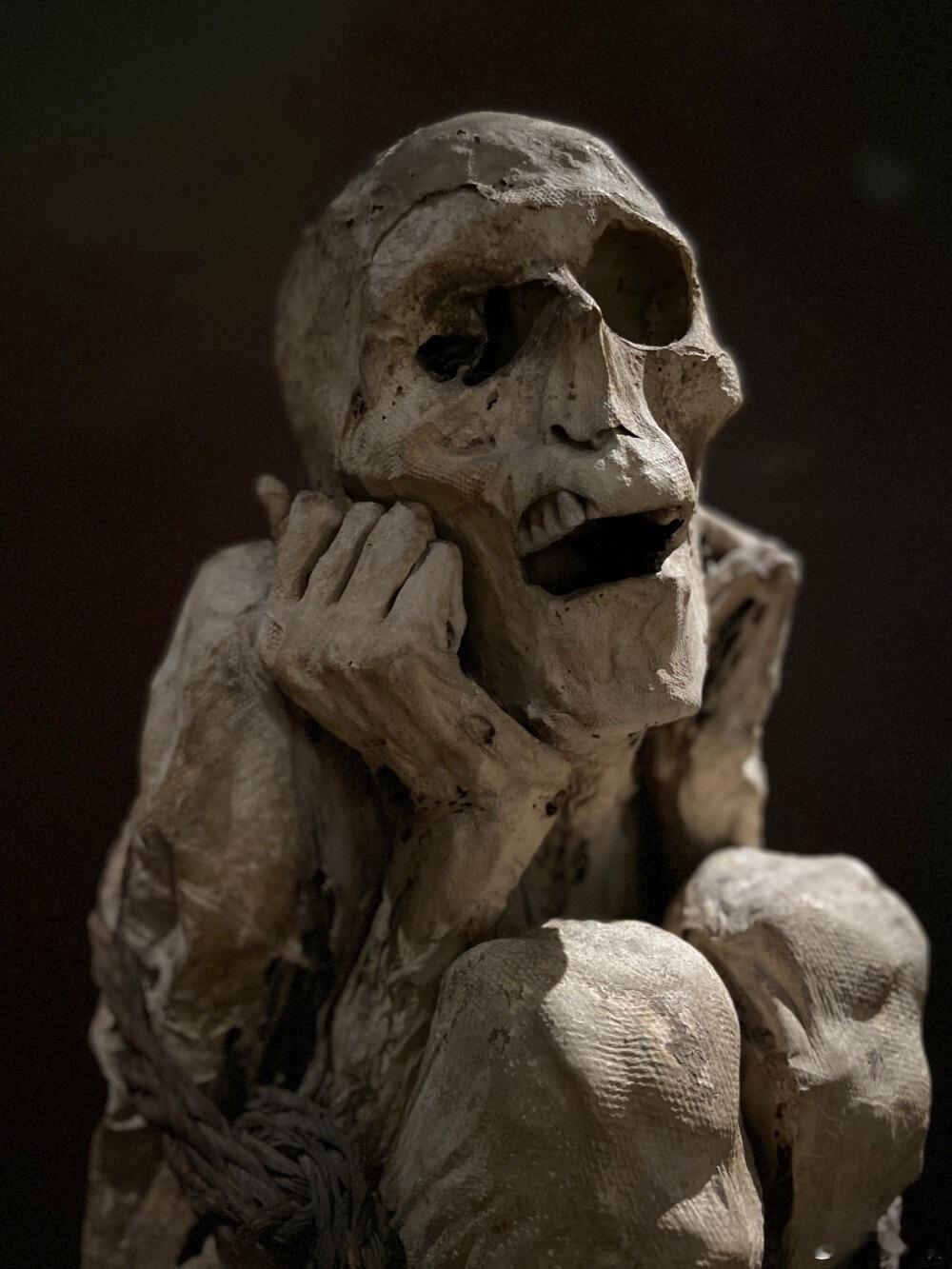 查查波亚斯木乃伊，12-16世纪，秘鲁 