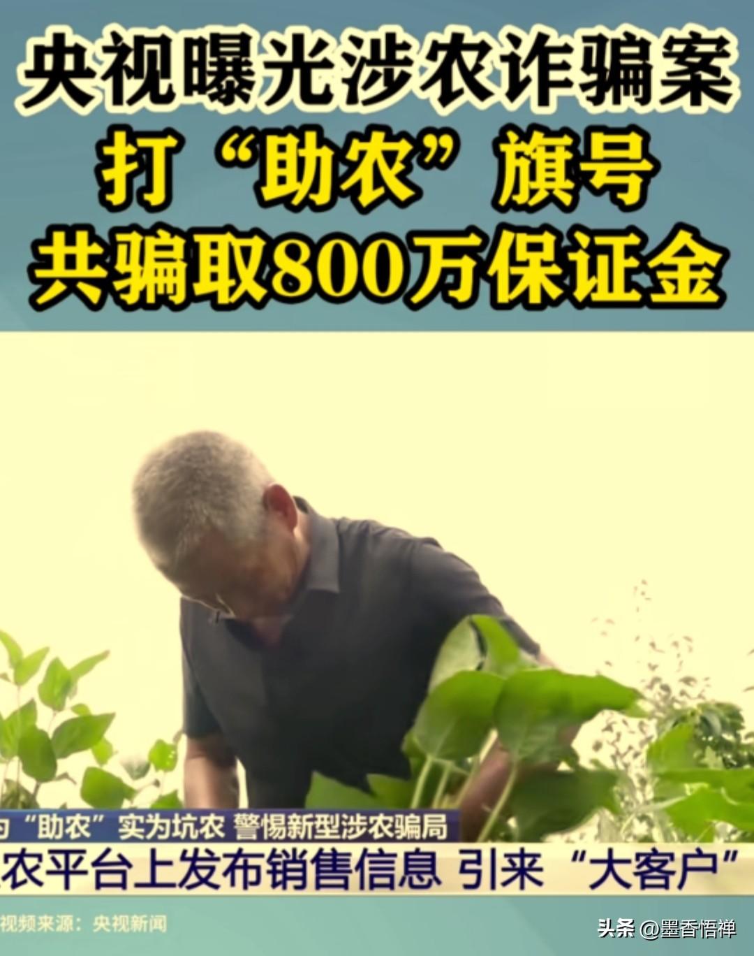 近日央视曝光了一起打着助农旗号，专门坑骗农户的案件，安徽砀山王先生家60亩西瓜，