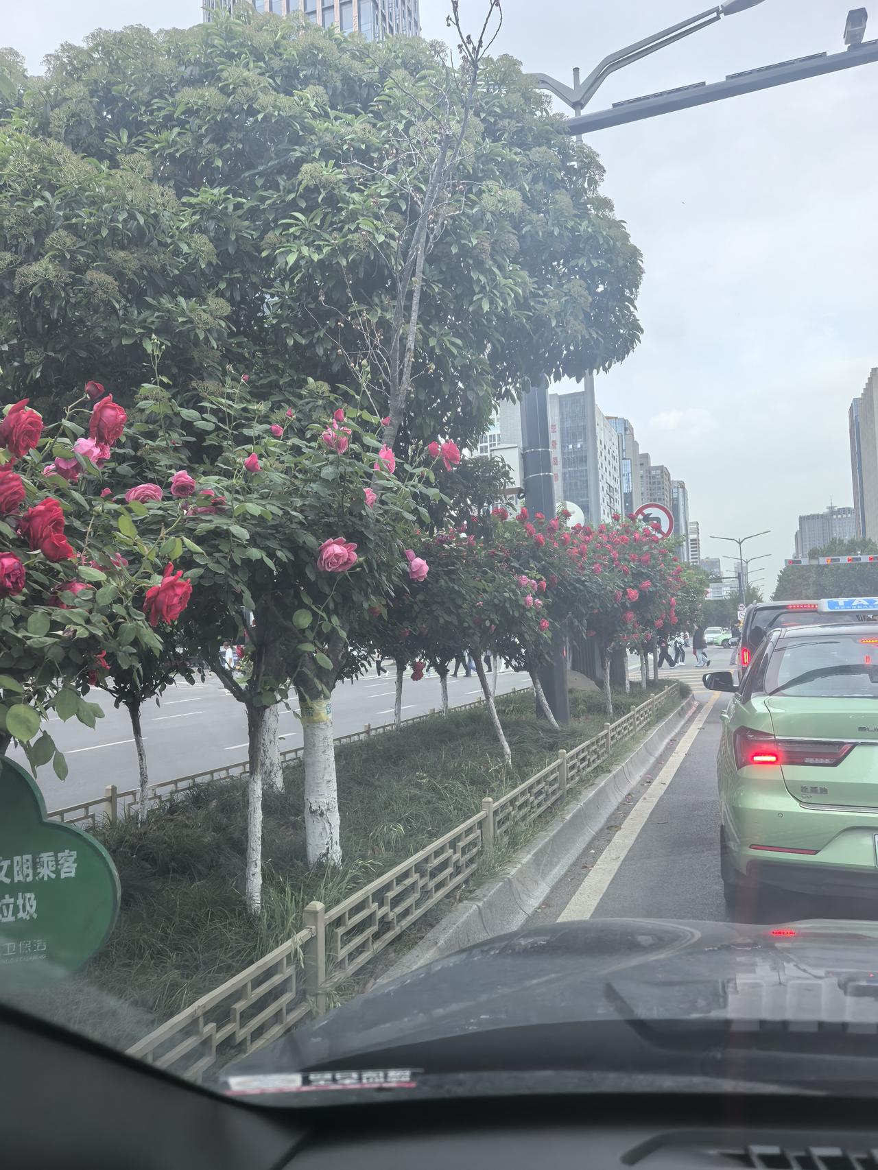 昨天几个人约着吃个饭，着急往就餐点赶车，自行车在路口等红灯时，突然被前面三轮车上