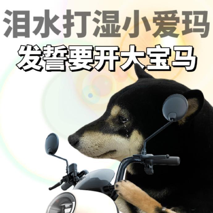 是哪个瞬间让你决定买一辆车 当然是...........雨水打湿小爱玛发誓要开大