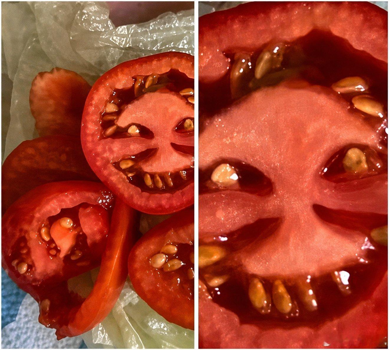 不知道该往它身上撒盐还是洒圣水... 