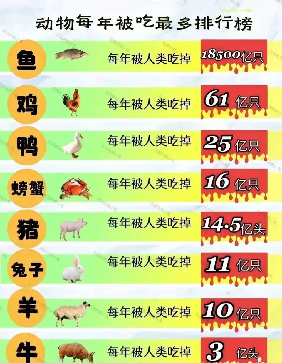 那么多条鱼吗[捂脸]