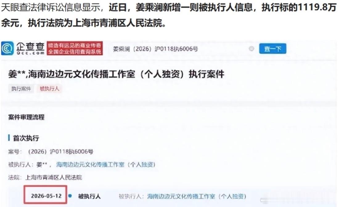 姜乘澜接手遭强执千万公司好可怕，关键是姜给前公司赚了多少钱，程十安的美妆店 ，每