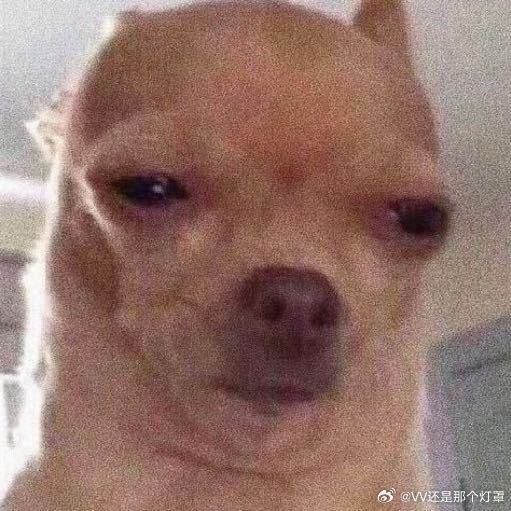 迪丽热巴 郝阿三郝阿三头像