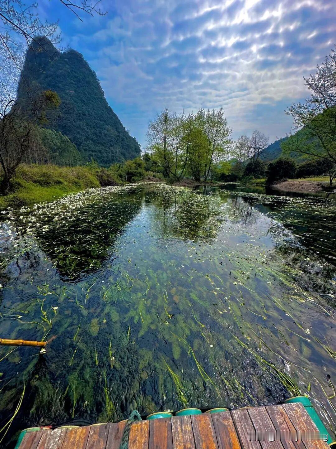 读完《临终前最后悔的五件事》这本书，内心满是感慨万千。

很多人用尽一生活成别人