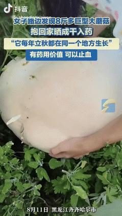 “这都是命啊！”8月11日，黑龙江齐齐哈尔市，一女子在路边玩的时候，发现有颗重量