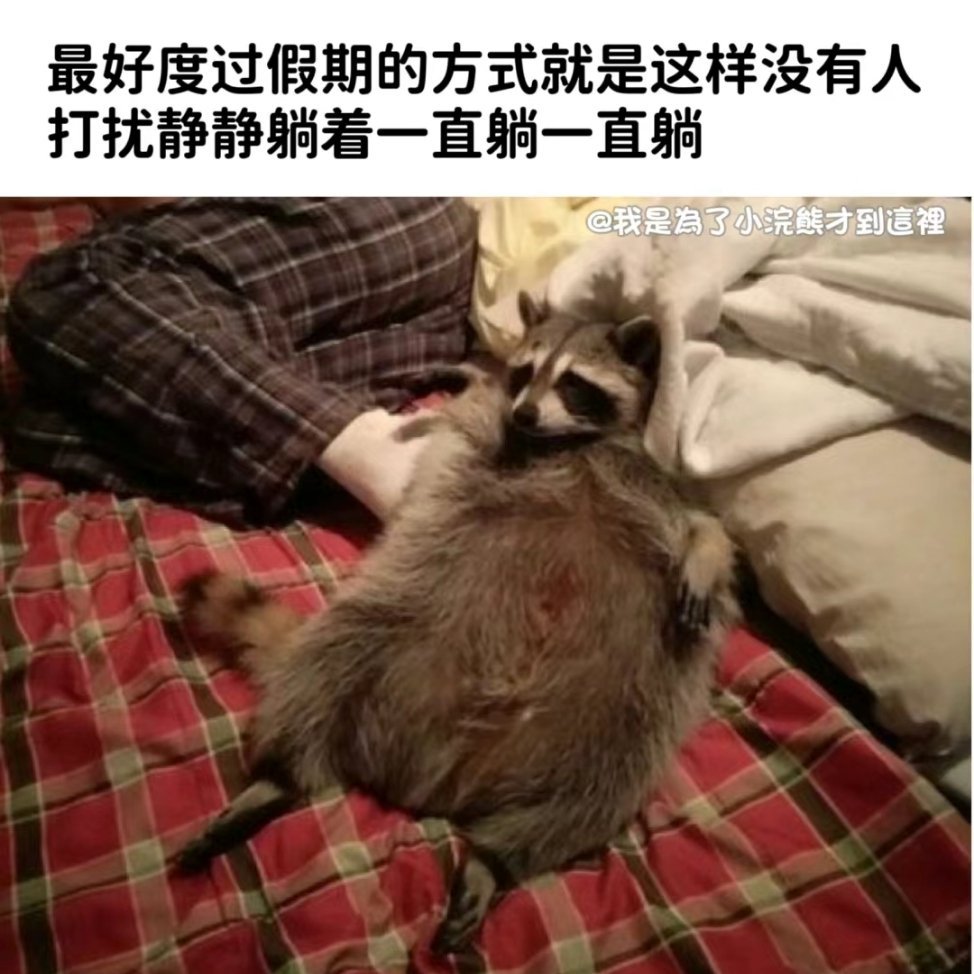 度过假期的最好方式！ ​​​