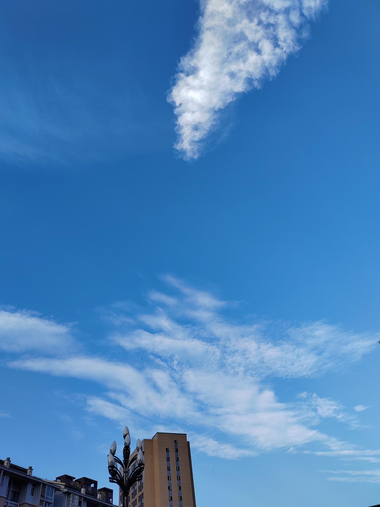 人在一定的年纪就会血脉压制
刻在我们骨子里的基因
种点花花草草
种点蔬菜水果
体