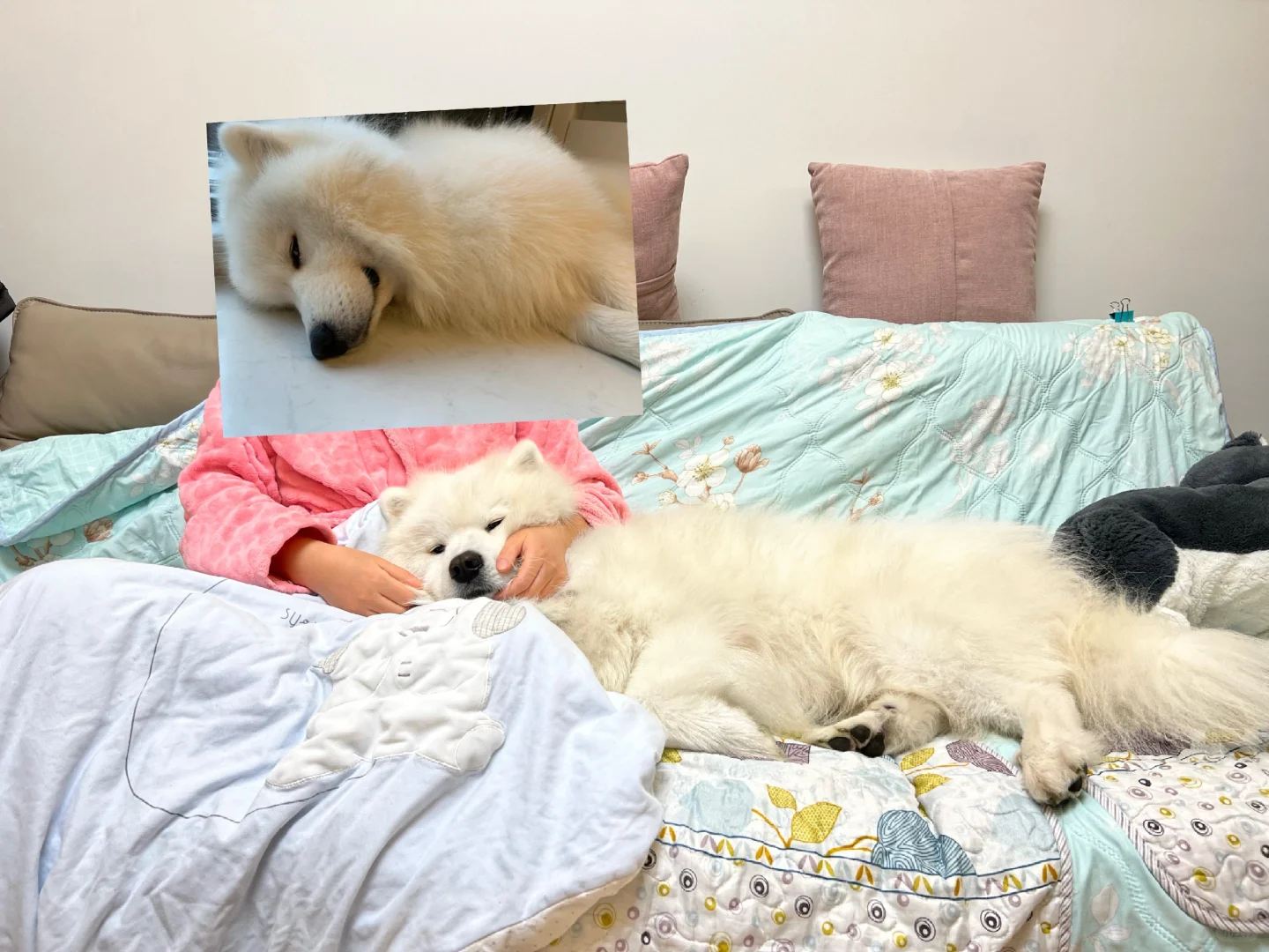 耶耶睡不着，要躺在妈妈怀里才能睡觉。