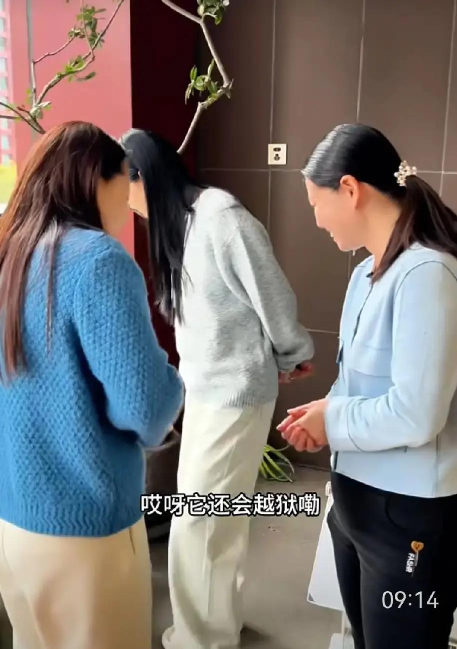 小凤团队春节拍了个连续剧，十二集把东北一家子从腊月二十三演到破五，红姐楼上装病，