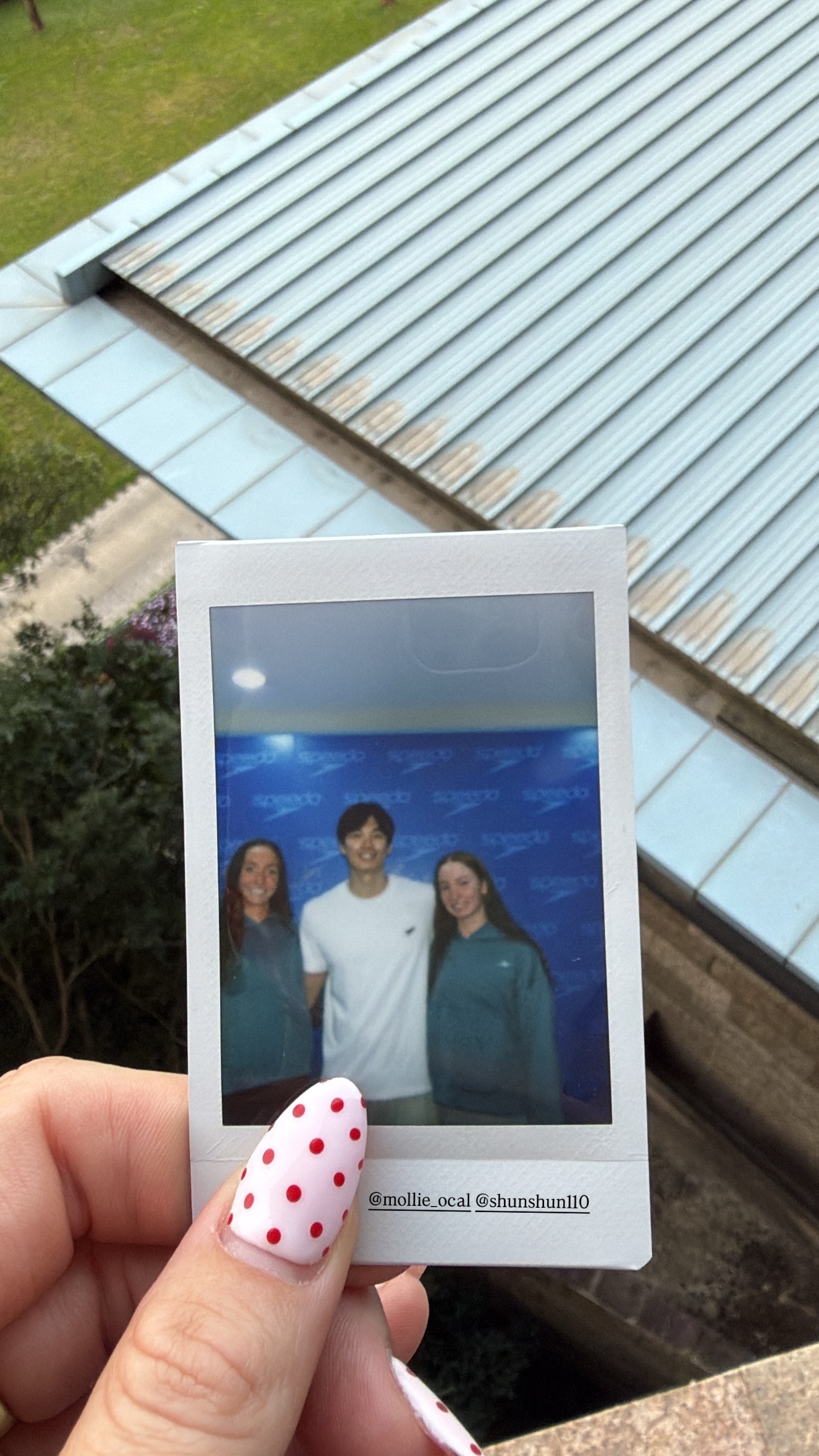 SWim进行时 『10016』20260318 中国游泳公开赛合照掉落兔牙白白?