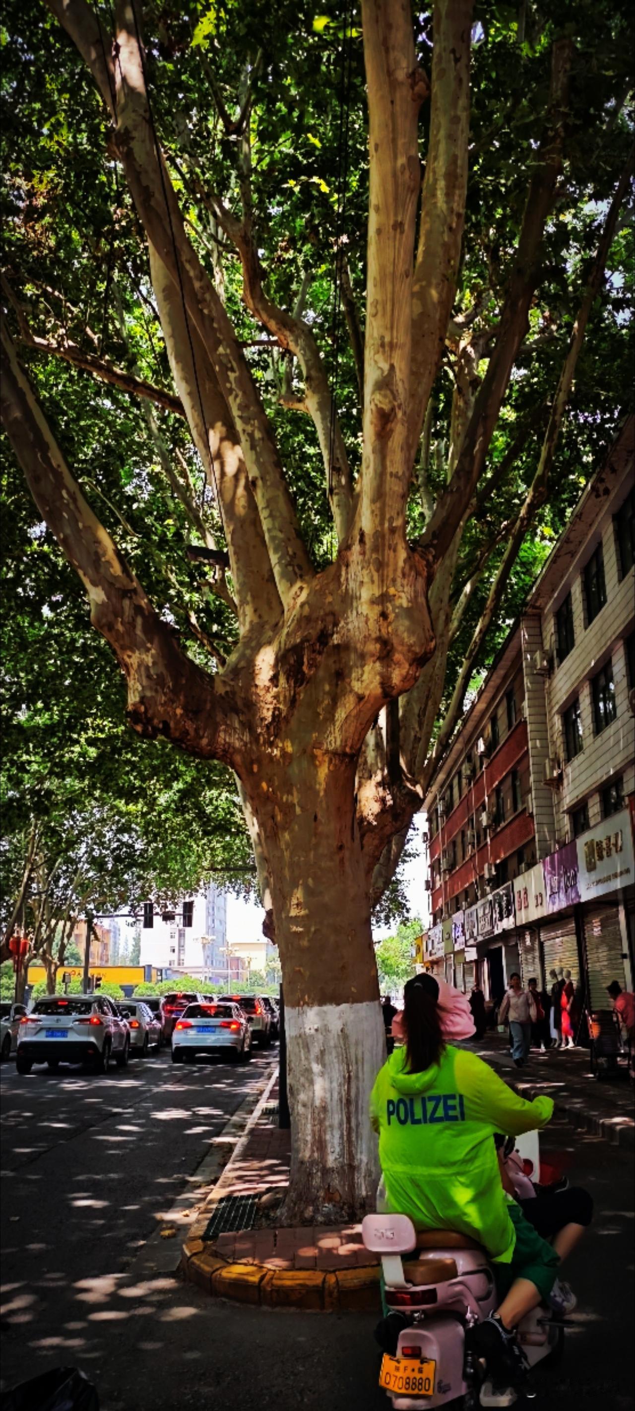 小暑仅是小热，已然不动汗如珠。“天地一大窑，阳炭烹六月。”夏日可畏，在炽热里，寻