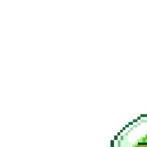 人生路上，要学会善待，善待他人，可以让人生走得更远；善待自己，可以让生命活得滋润