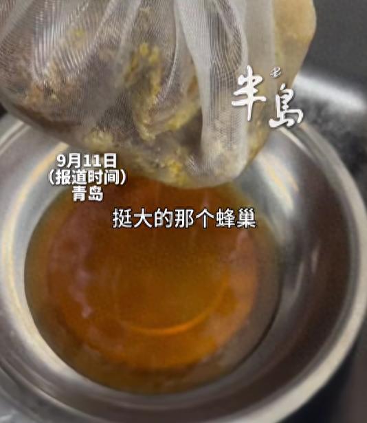 因祸得福！山东青岛，女子发现家里有蜜蜂，一开始还以为从门窗飞进来的，可很快发现蜜