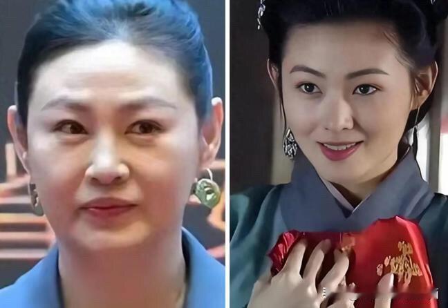 王思懿老了的样子像卖菜的大妈，一脸横肉，闫学晶老了脸变得油腻，只有袁立不管怎么变