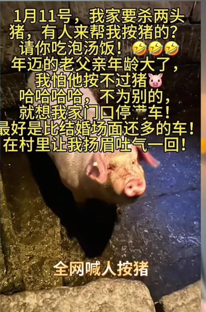 这回重庆合川那个叫呆呆的网友，真是一嗓子把自己喊成了“冤大头”。

      