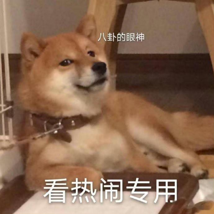 🍉“大雷”广场，紫粉和诗粉，友好交流中… ​​​