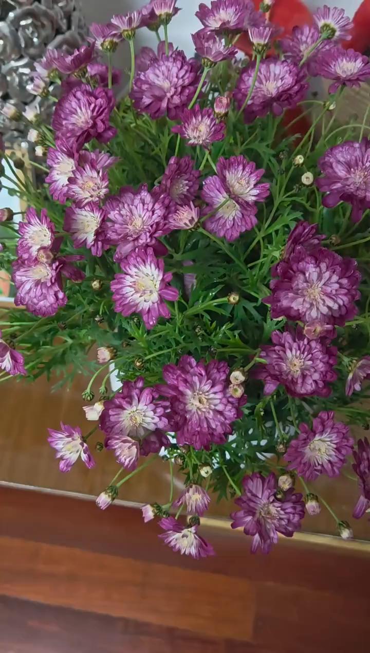 今年的春风遇上龙抬头，一半是春天的浪漫，一半是龙抬头的好运。愿今年鸿运当头，抬头