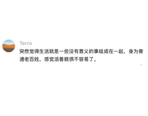 朋友圈的大家好像都失去了灵气 动态大多是精致摆拍与统一文案，少见发自内心随性分享