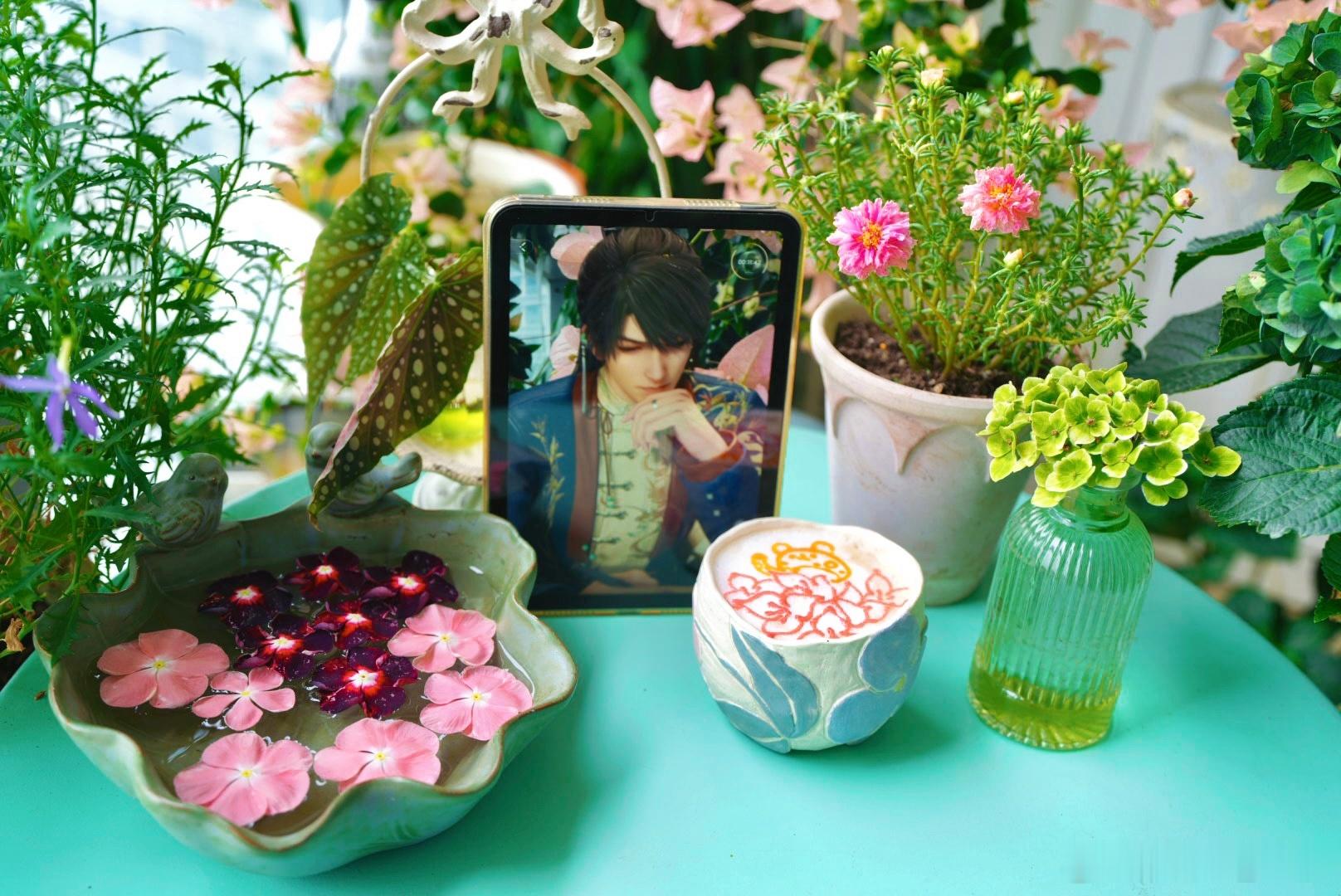 早ꉂꉂ ʚ(ᵔөᵔ๑)ɞ喝完早上的咖啡☕整理一下，要出一趟门，希望回来绣球花不会