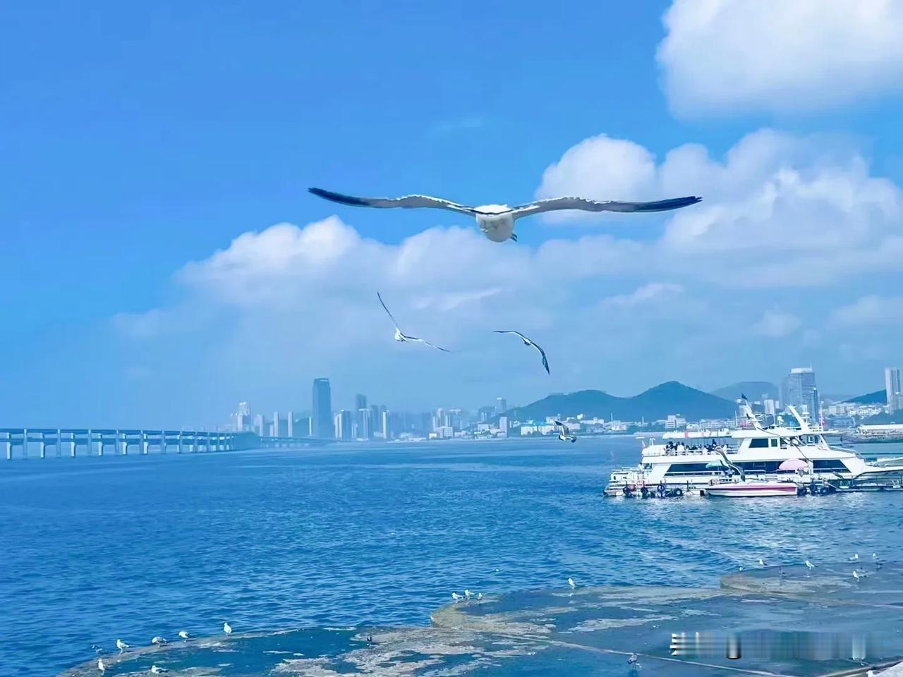 能让自己快乐的人，一定是很聪明的，懂得自己快乐，情绪价值传递给别人。能让别人快乐