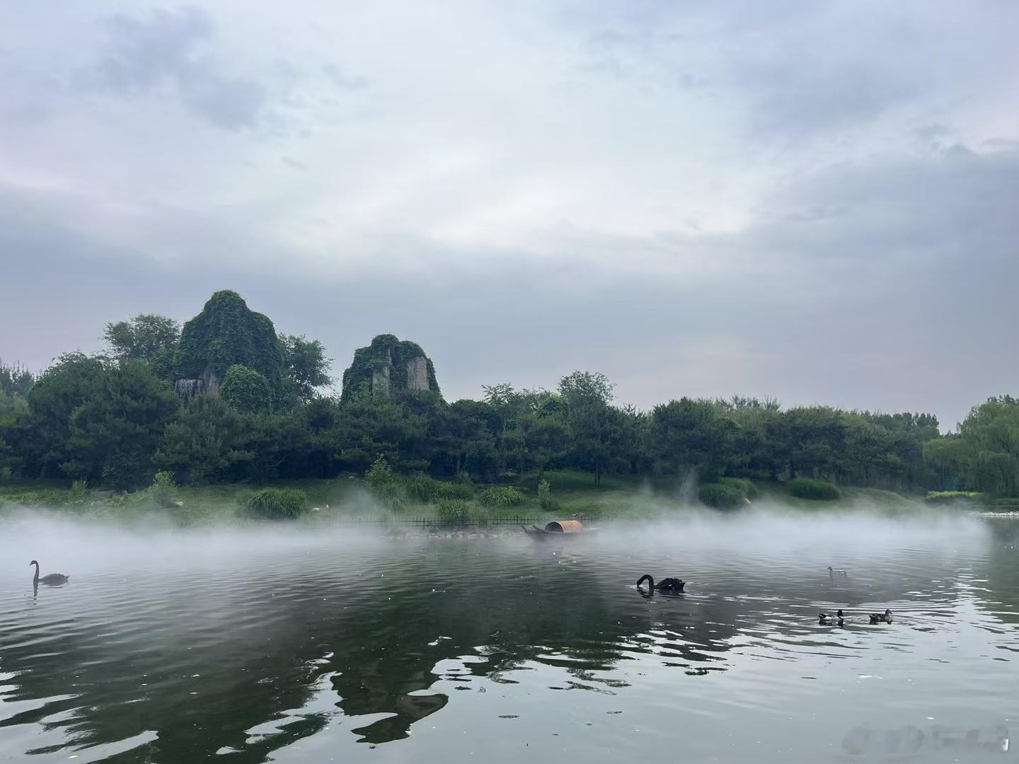 端午安康，假期第一天，大伙都去哪玩了？🐲一条plog告别五月 ​​​