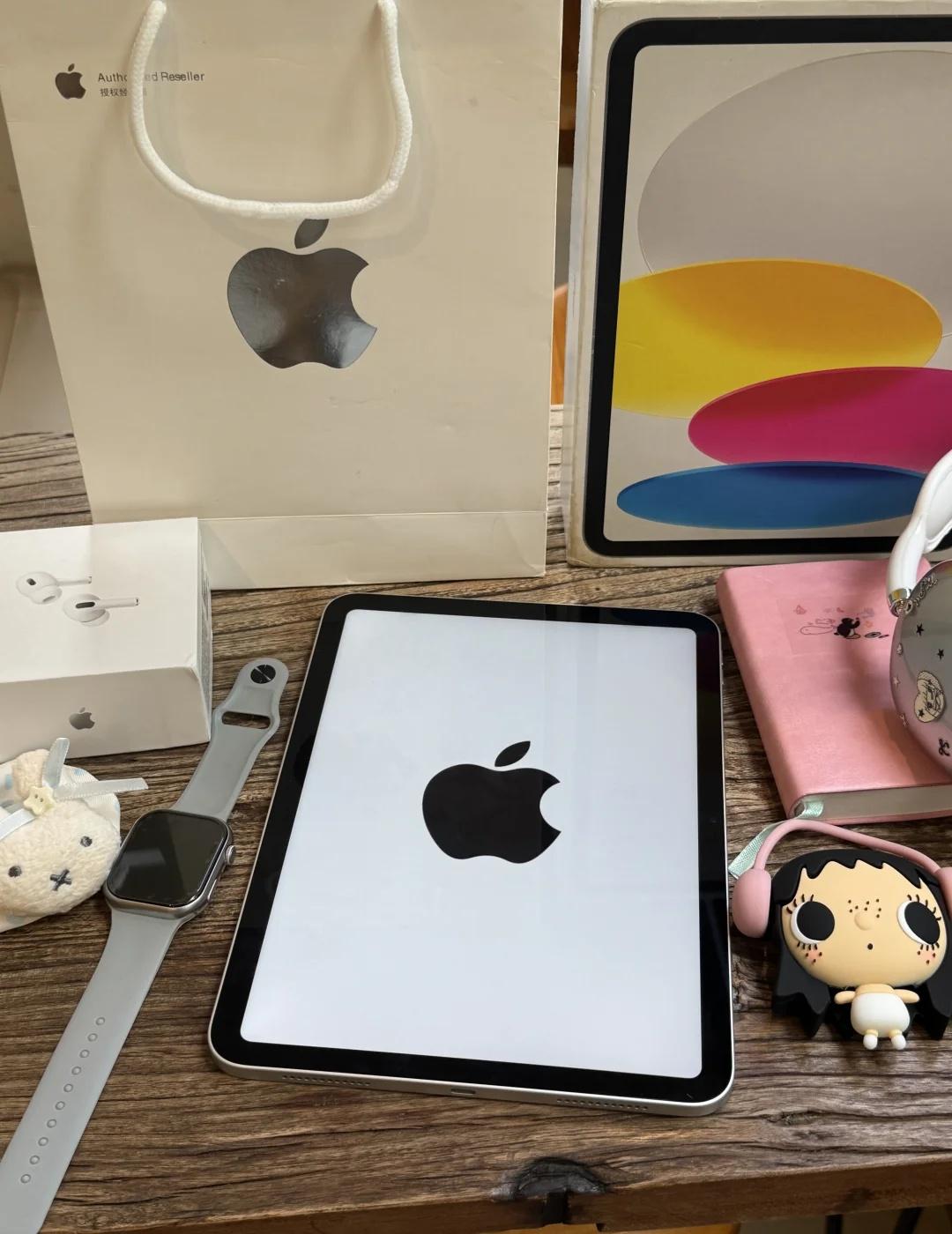 没听劝，买的是ipad11 256G。。
朋友都说买新不买旧，而我觉得合适就是最