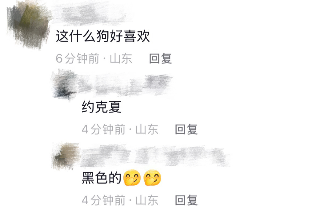 恶语伤球心！！！ 