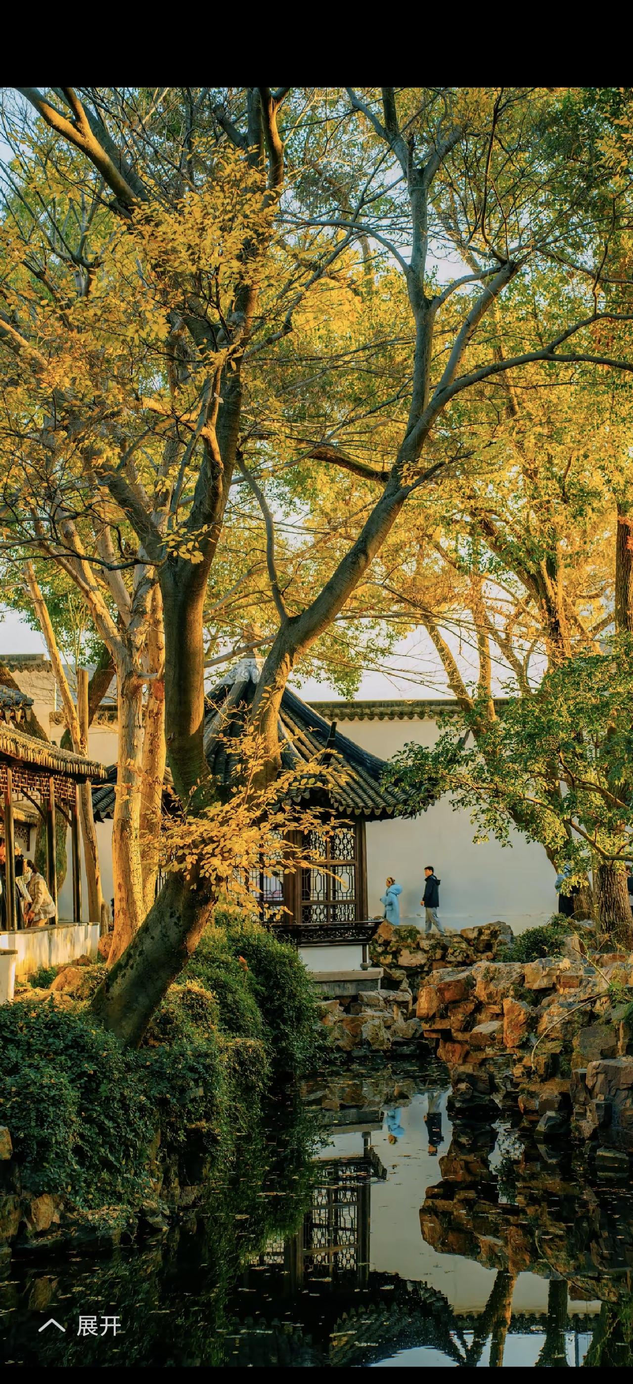 我现在的生活状态，俩字：自在。
工作之余，我不再被社交绑架，有空就窝在家里看书、