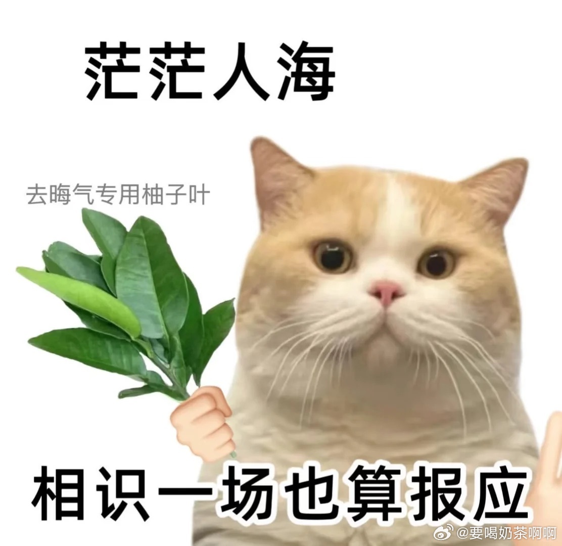 九成美发田栩宁素颜涉嫌违法支持田栩宁维权网络并非法外之地，有事请找法院，而不是在