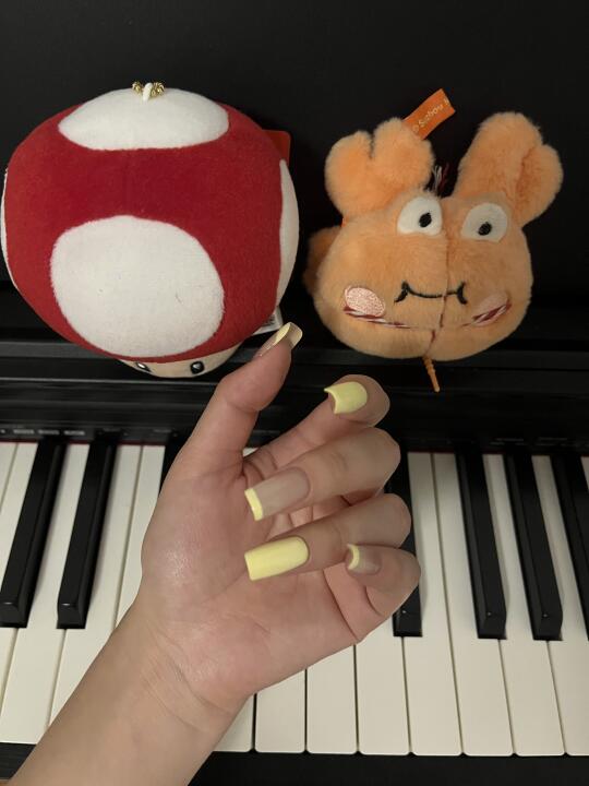 奶乎乎的嫩黄色🦙真的太适合夏天啦！！