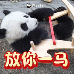 【越看越喜欢！第一波全网最萌马年表情包上线了】建议转存！马力十足、萌力爆棚的大熊