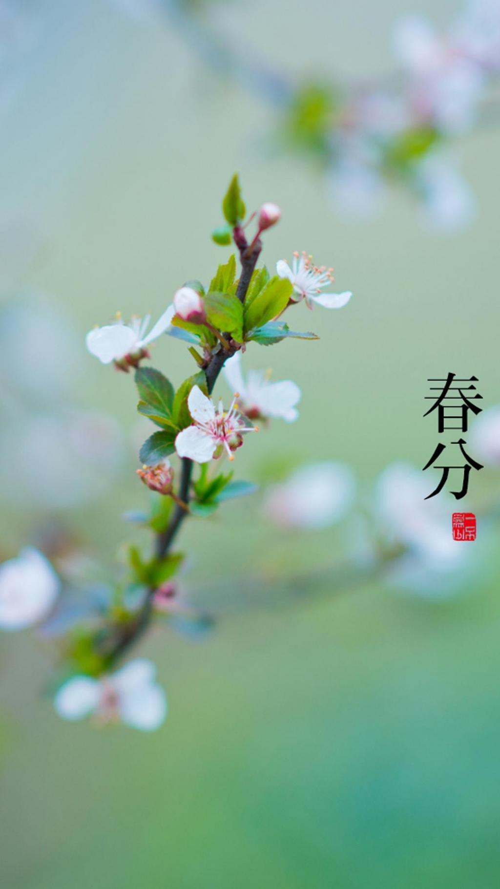 今日春分，愿春风带走往日的惆怅，吹来春天更多的好消息。愿春风十里不如你，不负春光