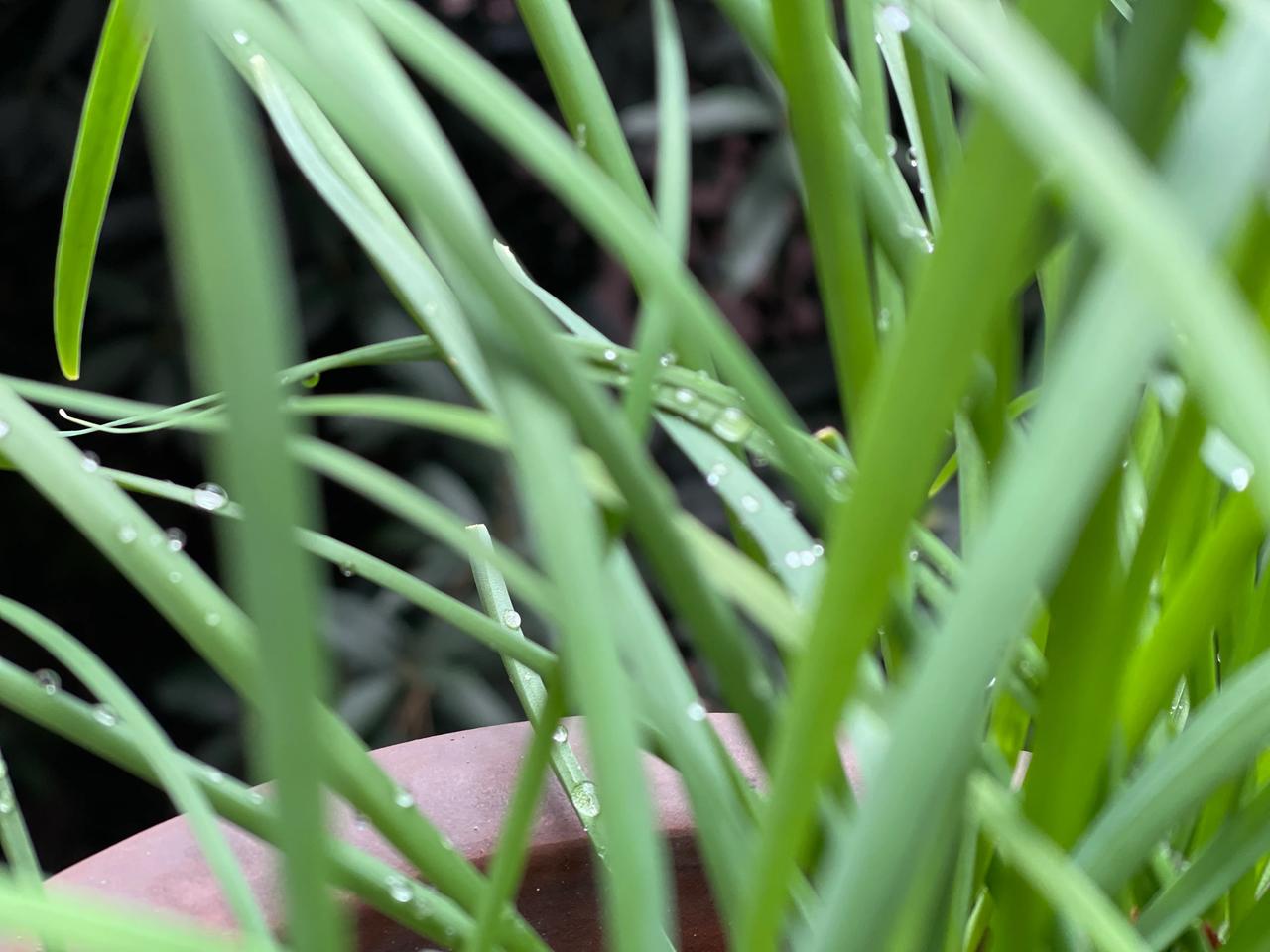 太好了！我就是睡的早、醒的早，过去以为醒的早不好，结果还不是坏事[微笑][作揖]