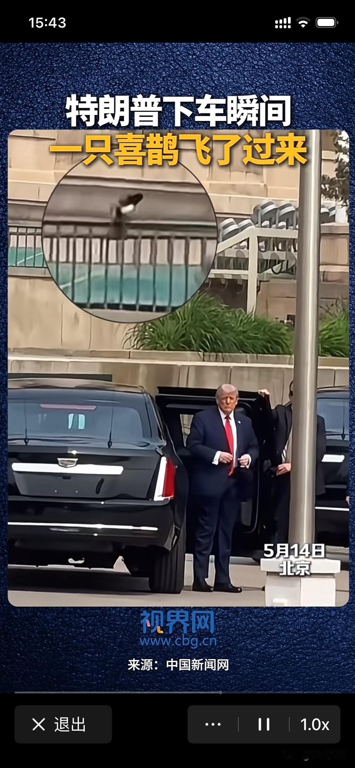 特朗普下车，喜鹊飞来！这波祥瑞太应景

绝了！特朗普刚下车到人民大会堂，一只喜鹊