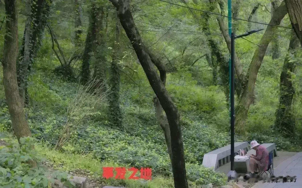 几个森林防火队员借助工作之便，偷拍一对情侣在山野中难抑激情的行为，并将其拍摄下的