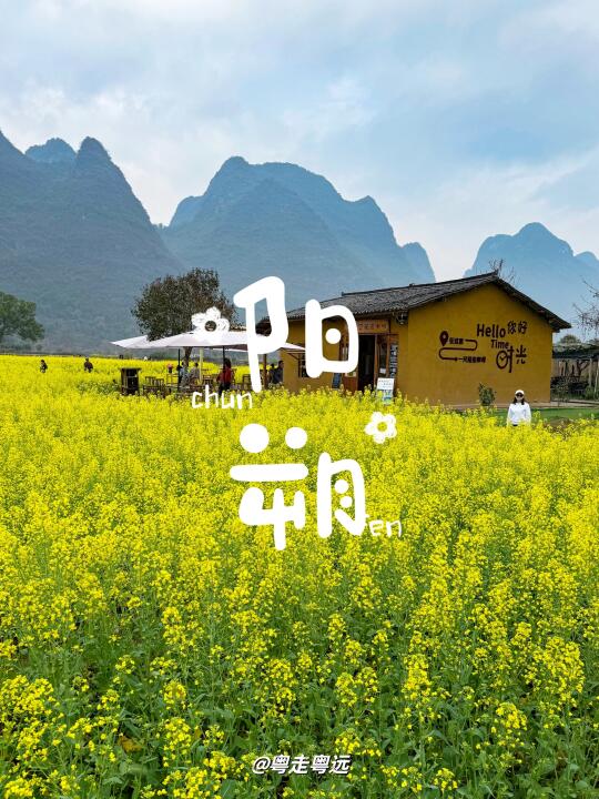 三月广西阳朔花开成海 姐妹共聚赏春光