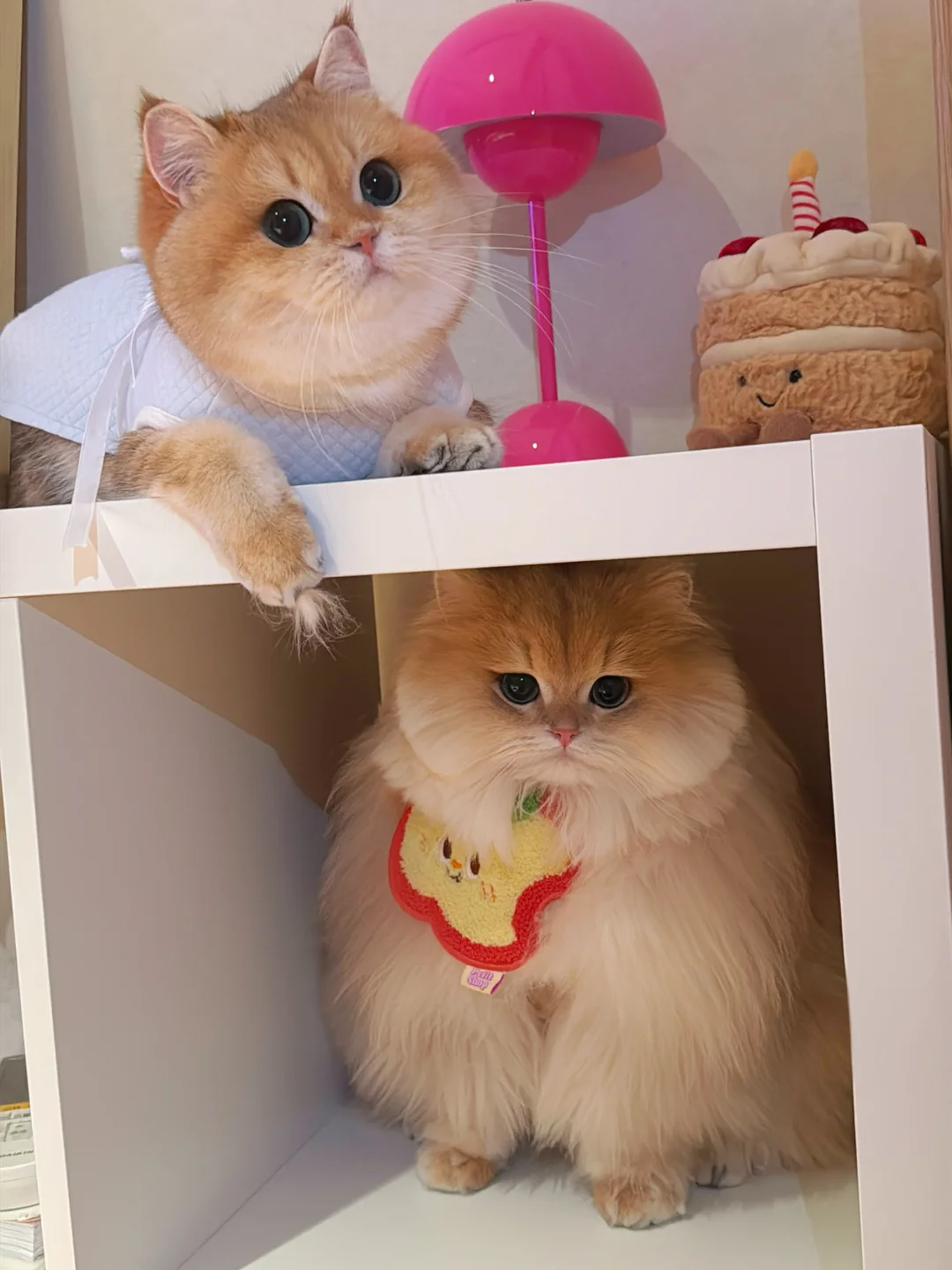 没头脑和不高兴